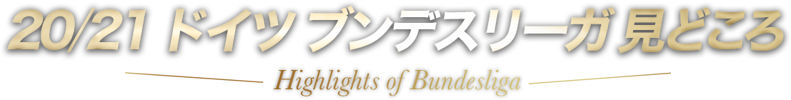 リーグガイド 日本人 注目選手 ドイツ ブンデスリーガ 独占生中継 配信 スカパー サッカー中継