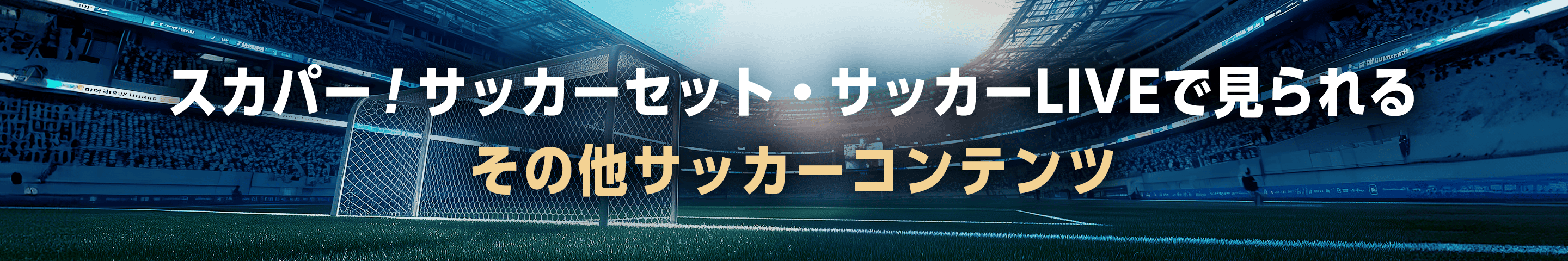 スカパー！サッカーセット・サッカーLIVEで見られる その他サッカーコンテンツ